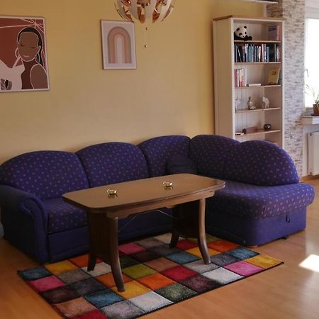 Grosszugige Wohnung Mit Herkulesblick Nahe Uni Kassel Buitenkant foto